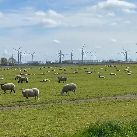 1 Mit Kueche Und Neuem Bad, Frisch Saniert * Friedrichskoog
